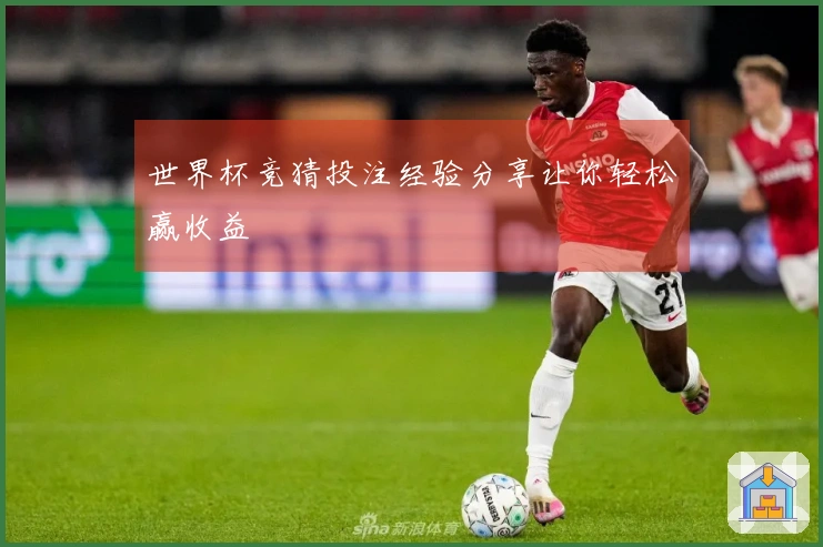 世界杯竞猜投注经验分享让你轻松赢收益
