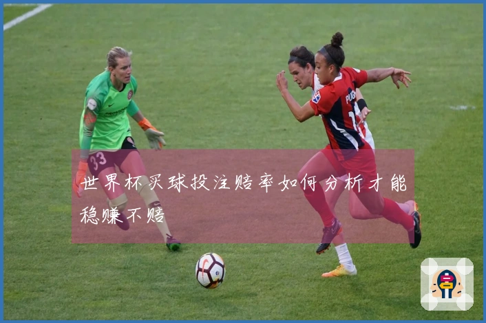 世界杯买球投注赔率如何分析才能稳赚不赔
