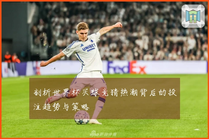 剖析世界杯买球竞猜热潮背后的投注趋势与策略