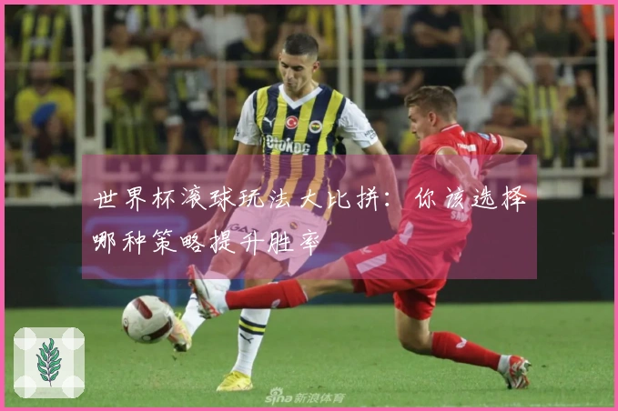 世界杯滚球玩法大比拼：你该选择哪种策略提升胜率