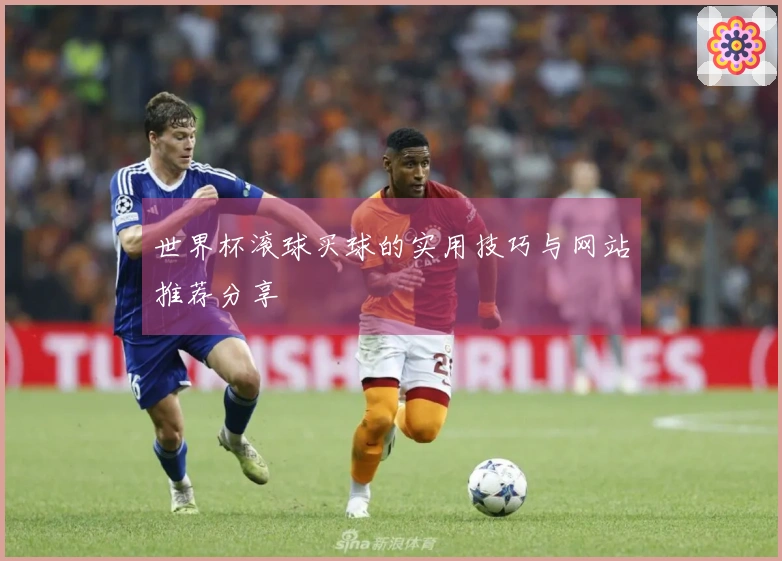 世界杯滚球买球的实用技巧与网站推荐分享
