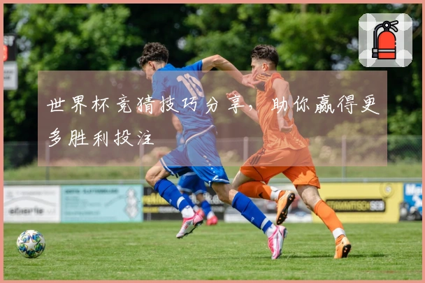 世界杯竞猜技巧分享，助你赢得更多胜利投注