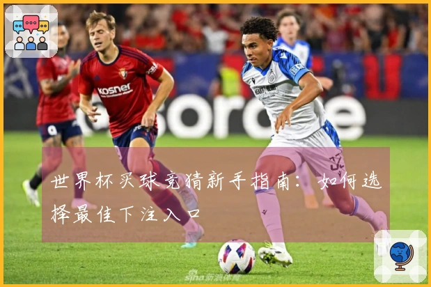 世界杯买球竞猜新手指南：如何选择最佳下注入口
