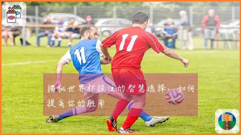 揭秘世界杯投注的智慧选择，如何提高你的胜率