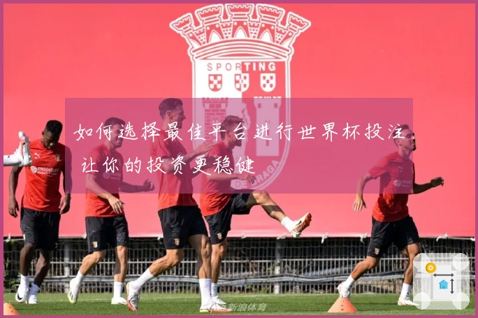如何选择最佳平台进行世界杯投注 让你的投资更稳健